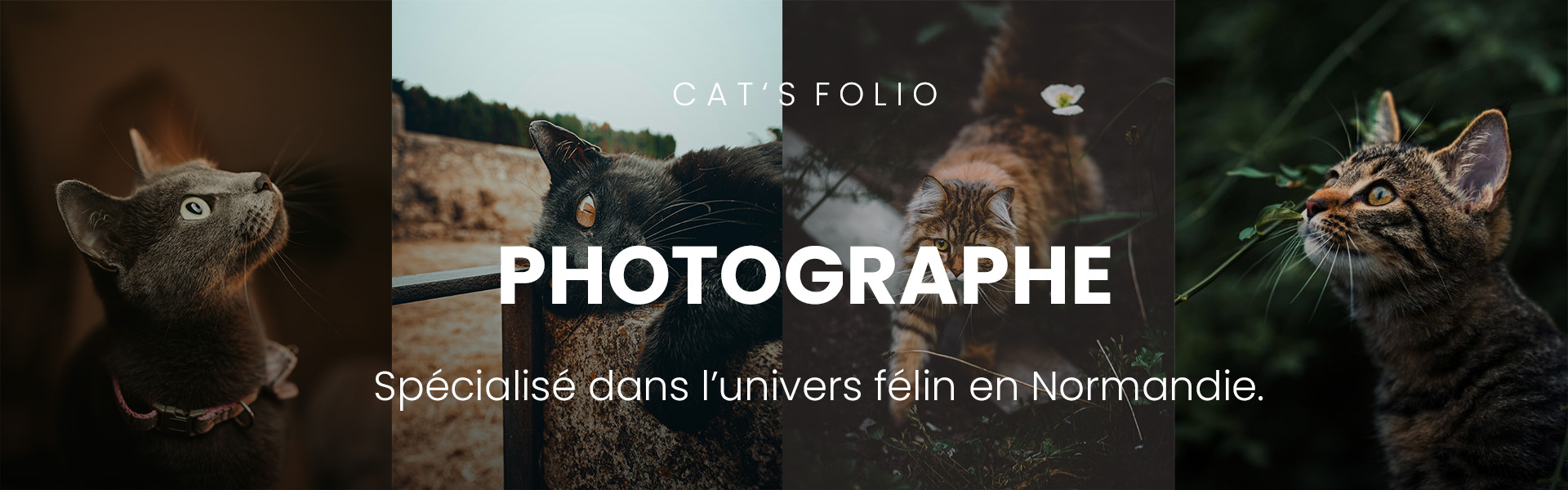 Photographe Normandie